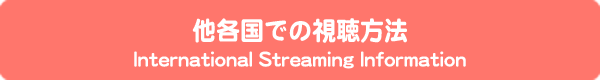 他各国での視聴方法